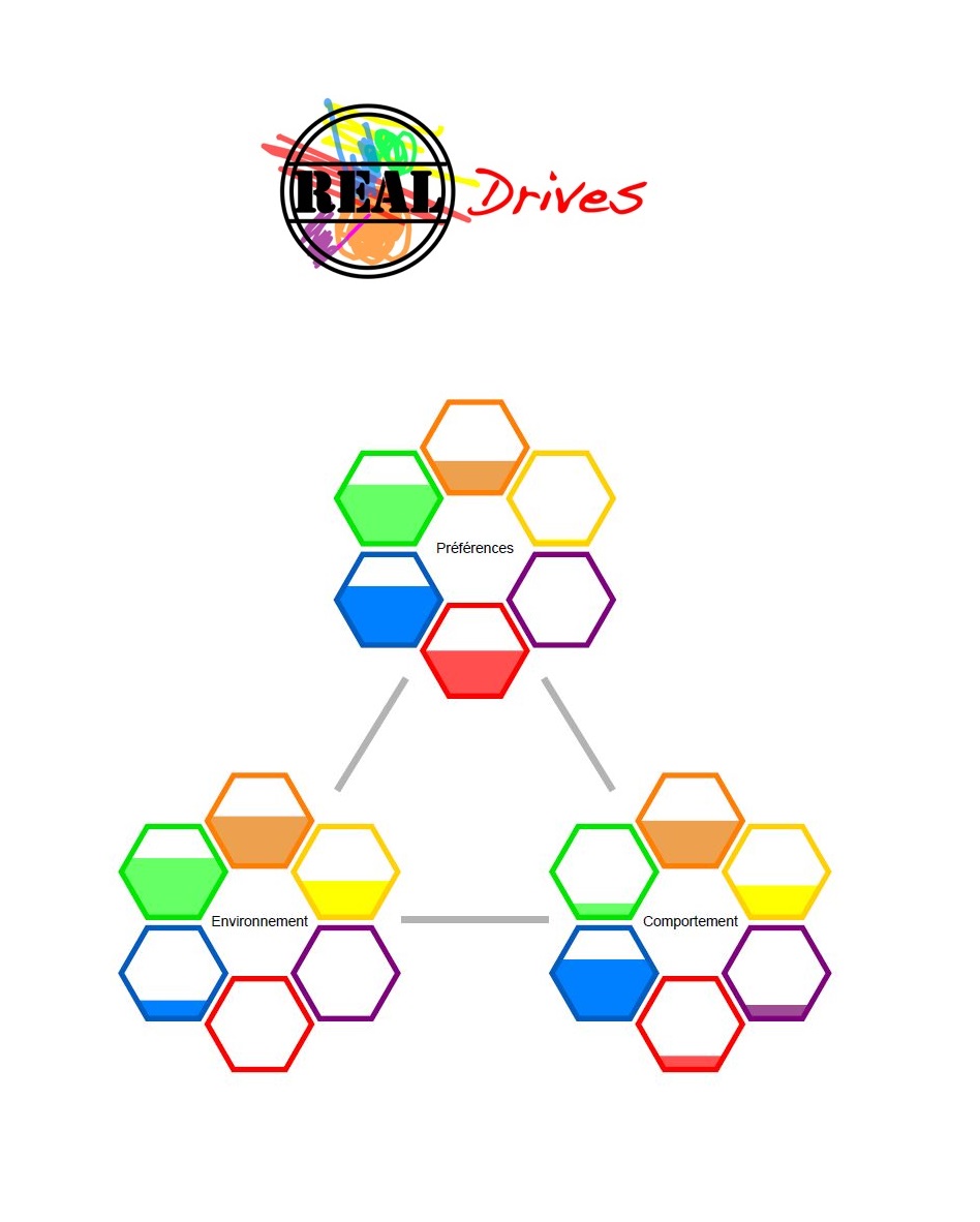 Outil de coaching d'équipe et de coaching individuel Real Drives