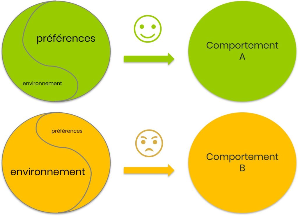 Impact de l'environnement sur le comportement