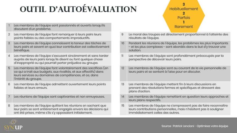Evaluation des dysfonctionnements d'une equipe - Patrick Lencioni