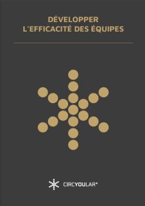Couverture brochure efficacité équipe