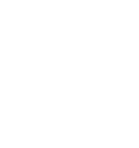 synup coaching entreprise blanc