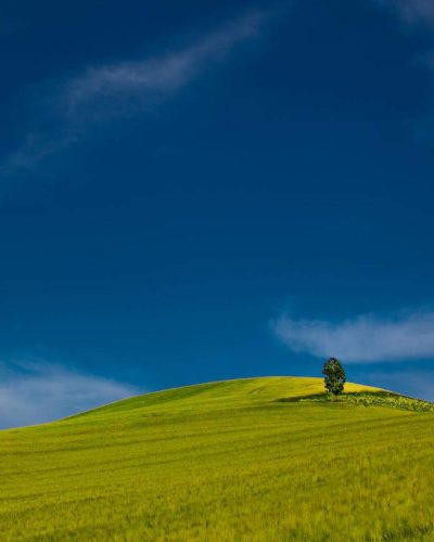 pexels-bob-eastmen-287548